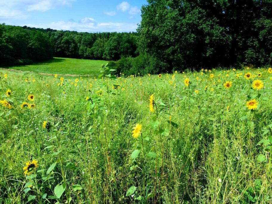 Moderne Wohnung Im Herzen Der Natur - Ingo'S Dream Babelin Bagian luar foto