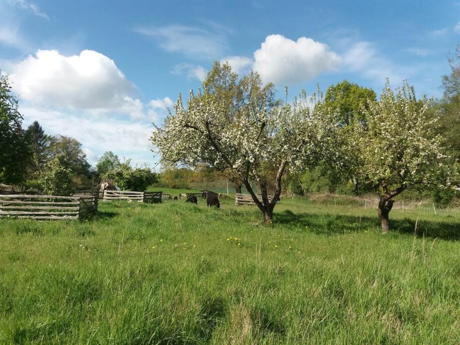 Moderne Wohnung Im Herzen Der Natur - Ingo'S Dream Babelin Bagian luar foto
